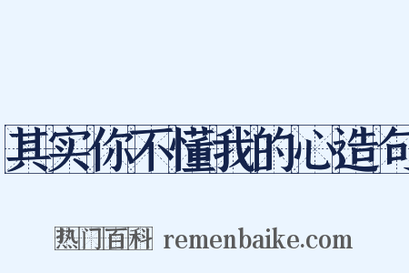 其实你不懂我的心造句是什么意思的图片